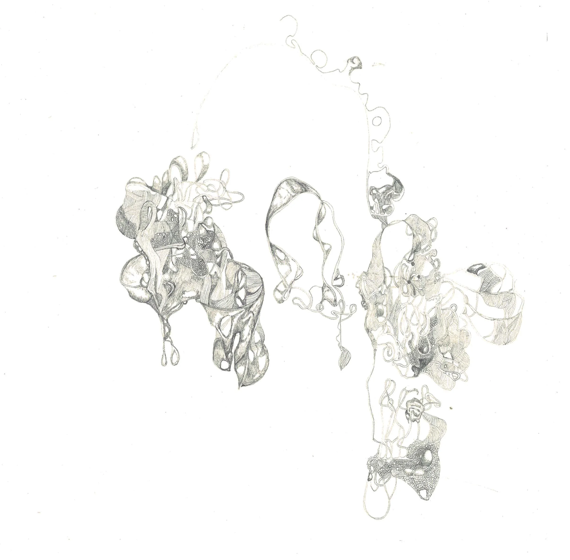 `Echo i`