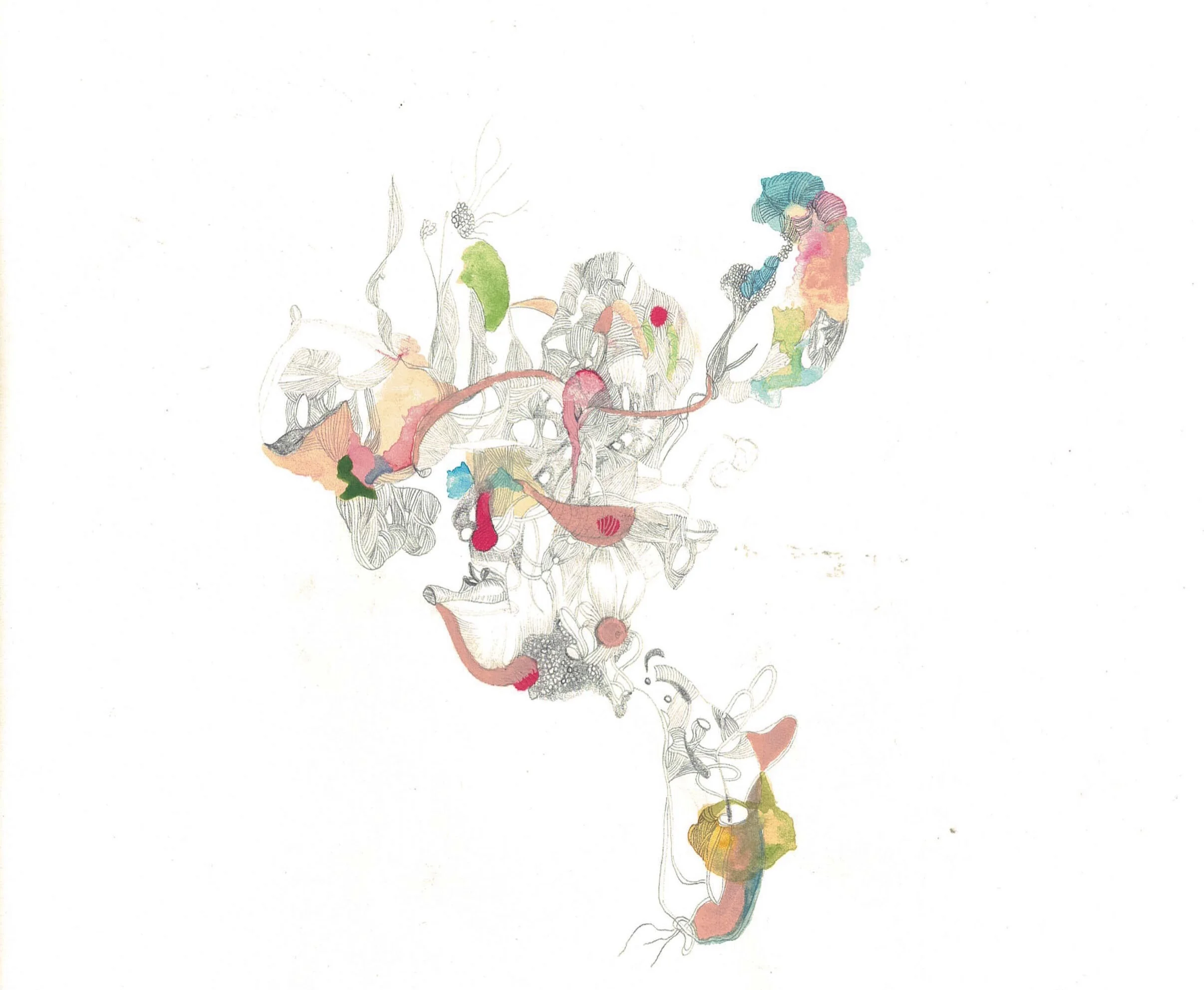 `Echo ii`