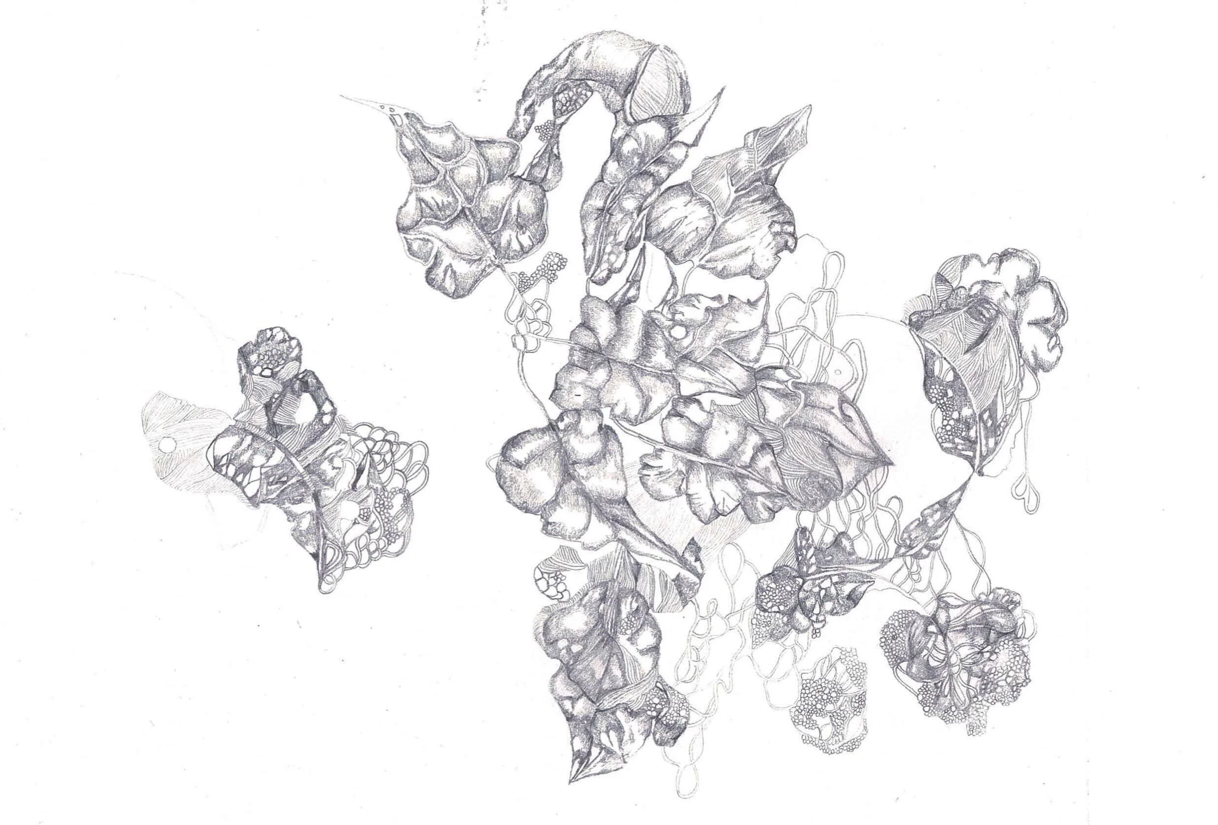 `Untitled`