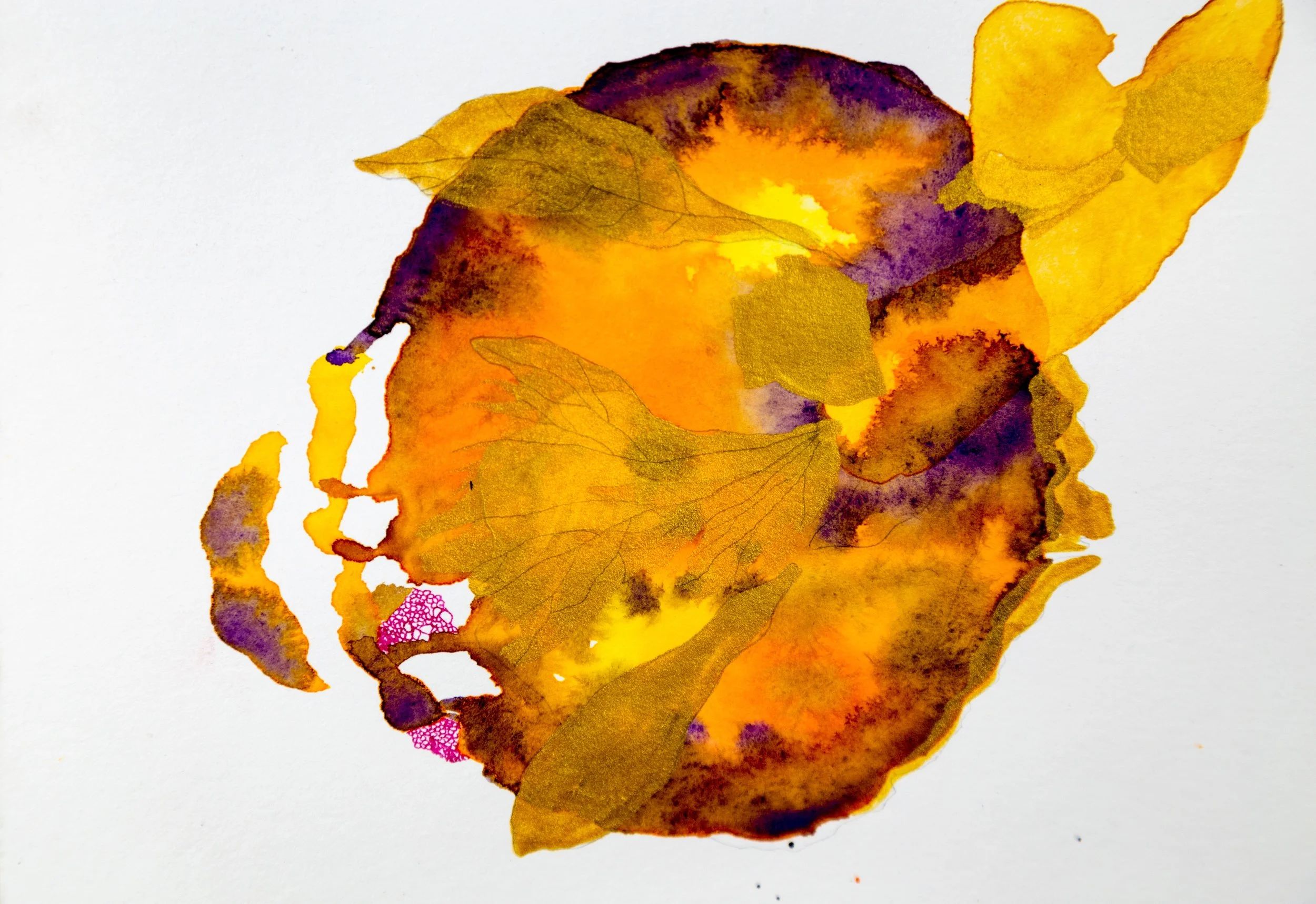 Metamorphosis V