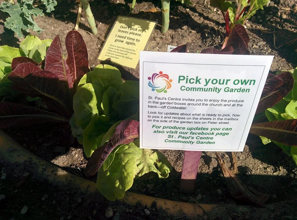 garden pick your own.jpg