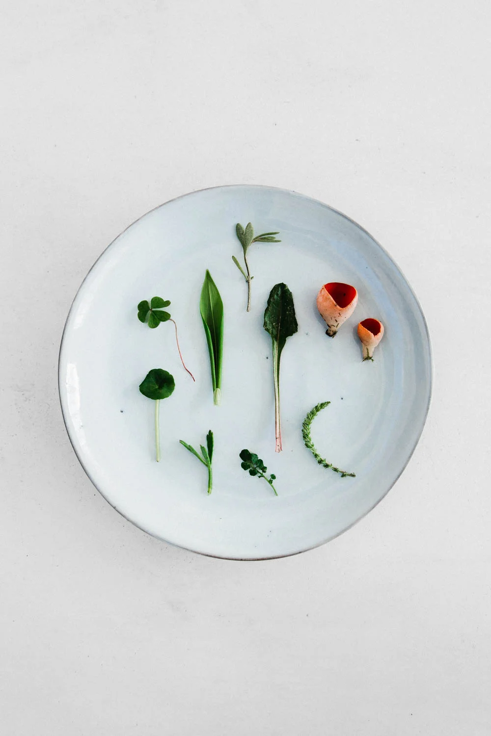 Wilder x Rye London Supper Club