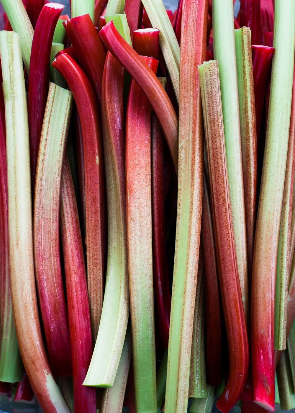 The New Nordic x Rye London Workshop Supper