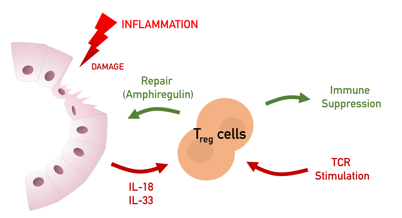 diagram2.png