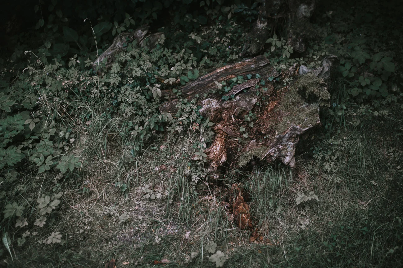In-Love-with-a-Wolf-Hochzeitsfotograf-Erlangen-Atzelsberg-Nürnberg-Fürth-42.jpg