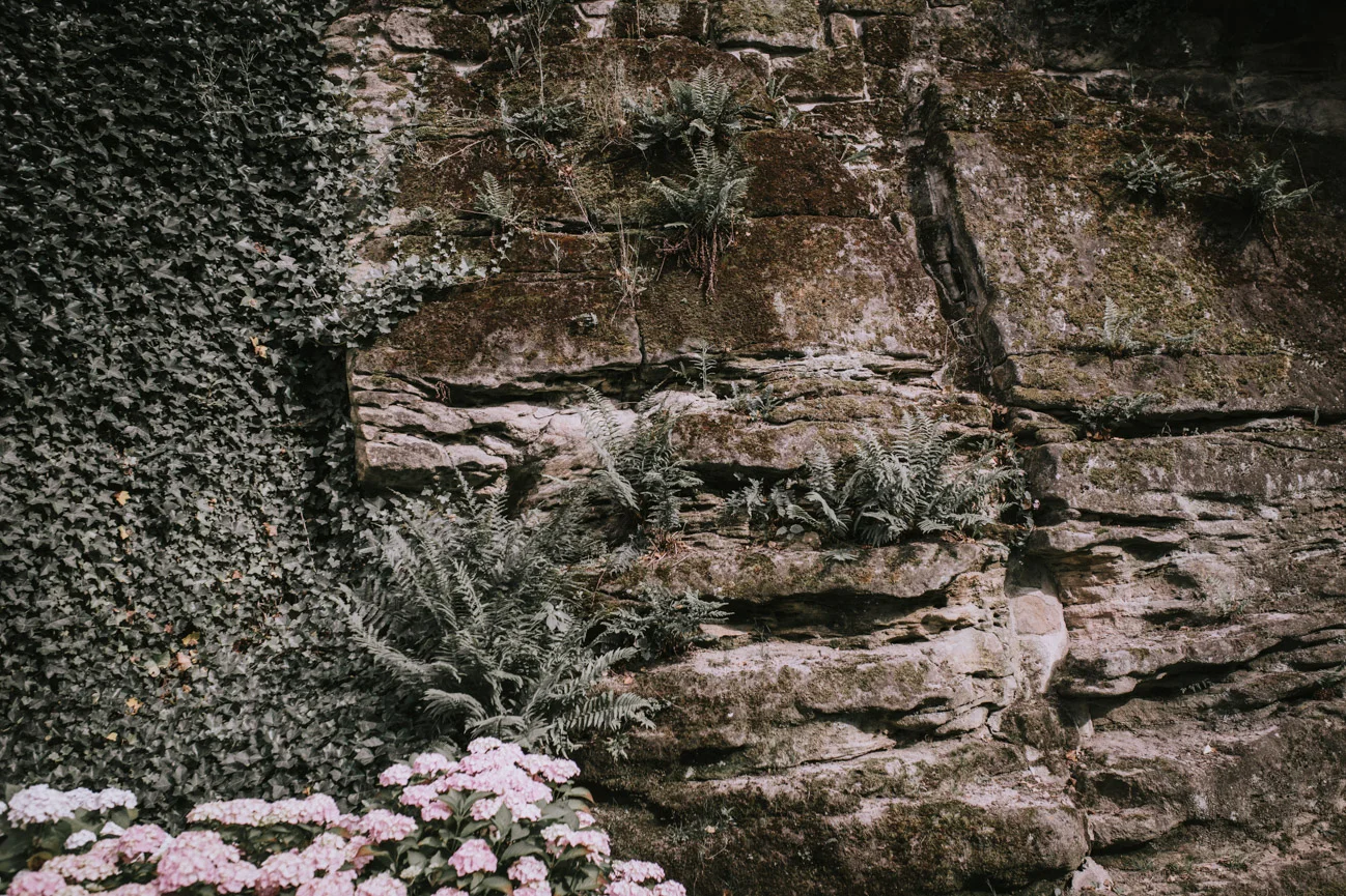 In-Love-with-a-Wolf-Hochzeitsfotograf-Erlangen-Atzelsberg-Nürnberg-Fürth-45.jpg