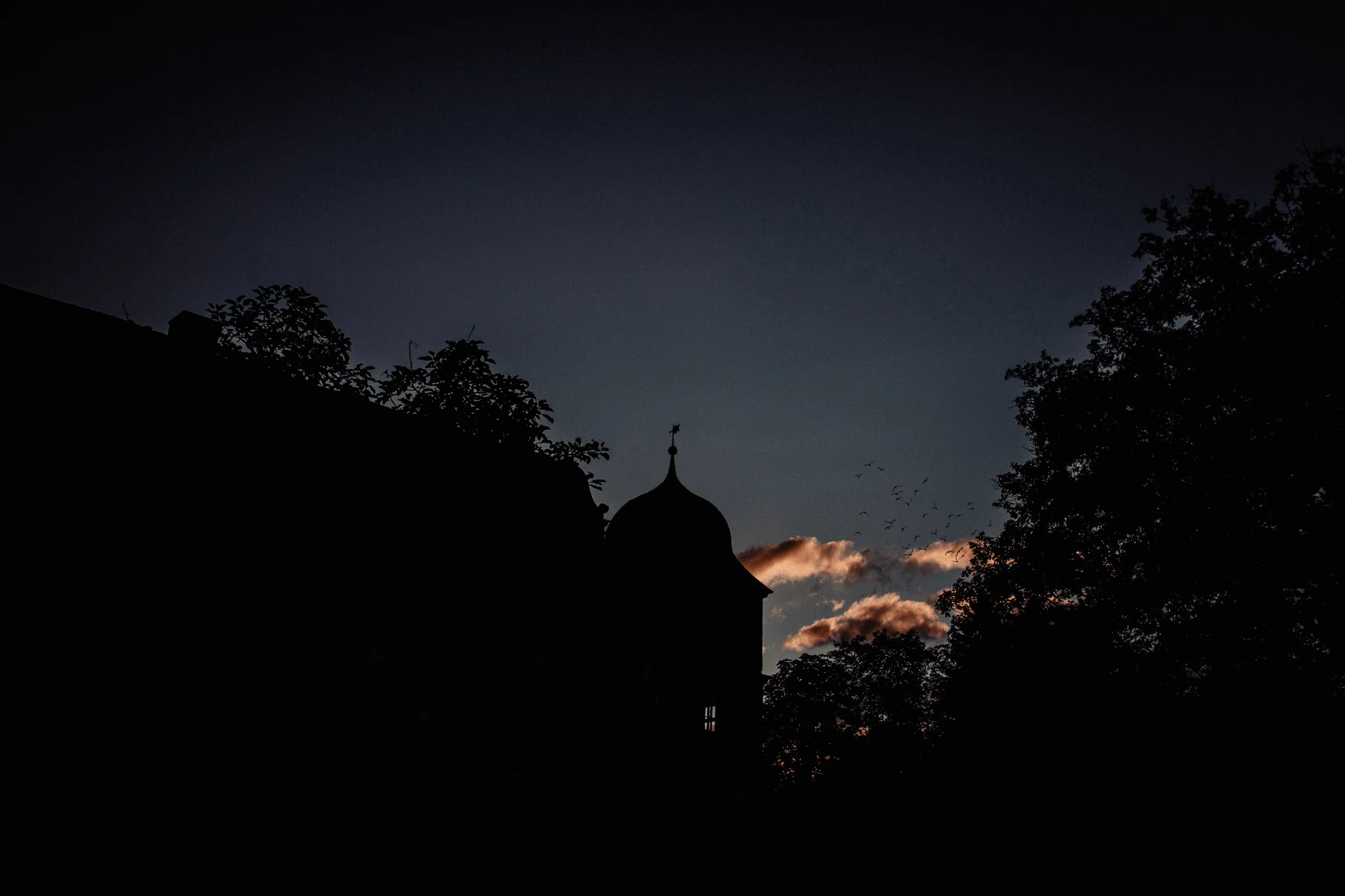 In-Love-with-a-Wolf-Hochzeitsfotograf-Coburg-Mitwitz-Nürnberg-Erlangen-Fürth-50.jpg