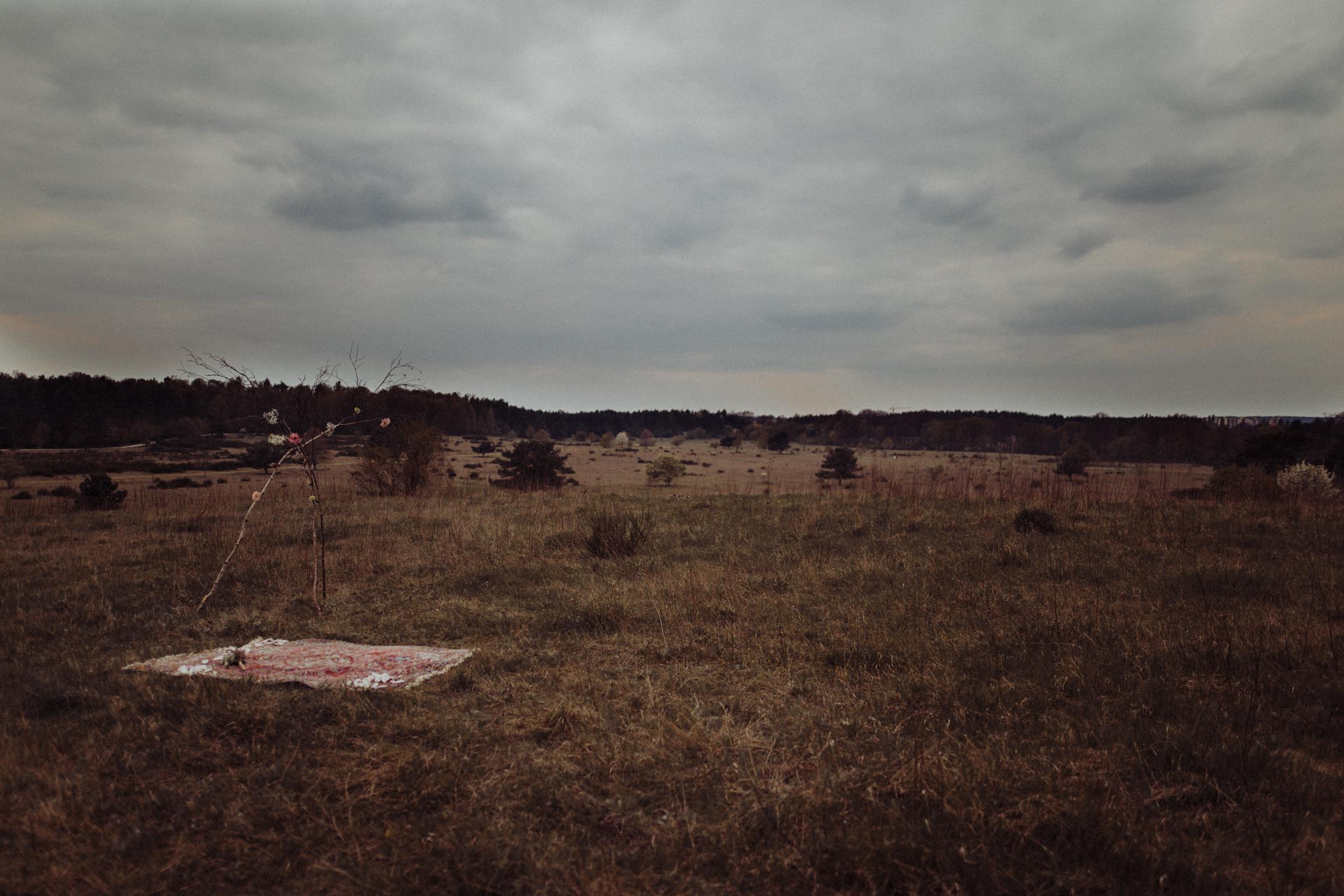 In-Love-with-a-Wolf-Paarshooting-Nürnberg-Hainberg-2.jpg