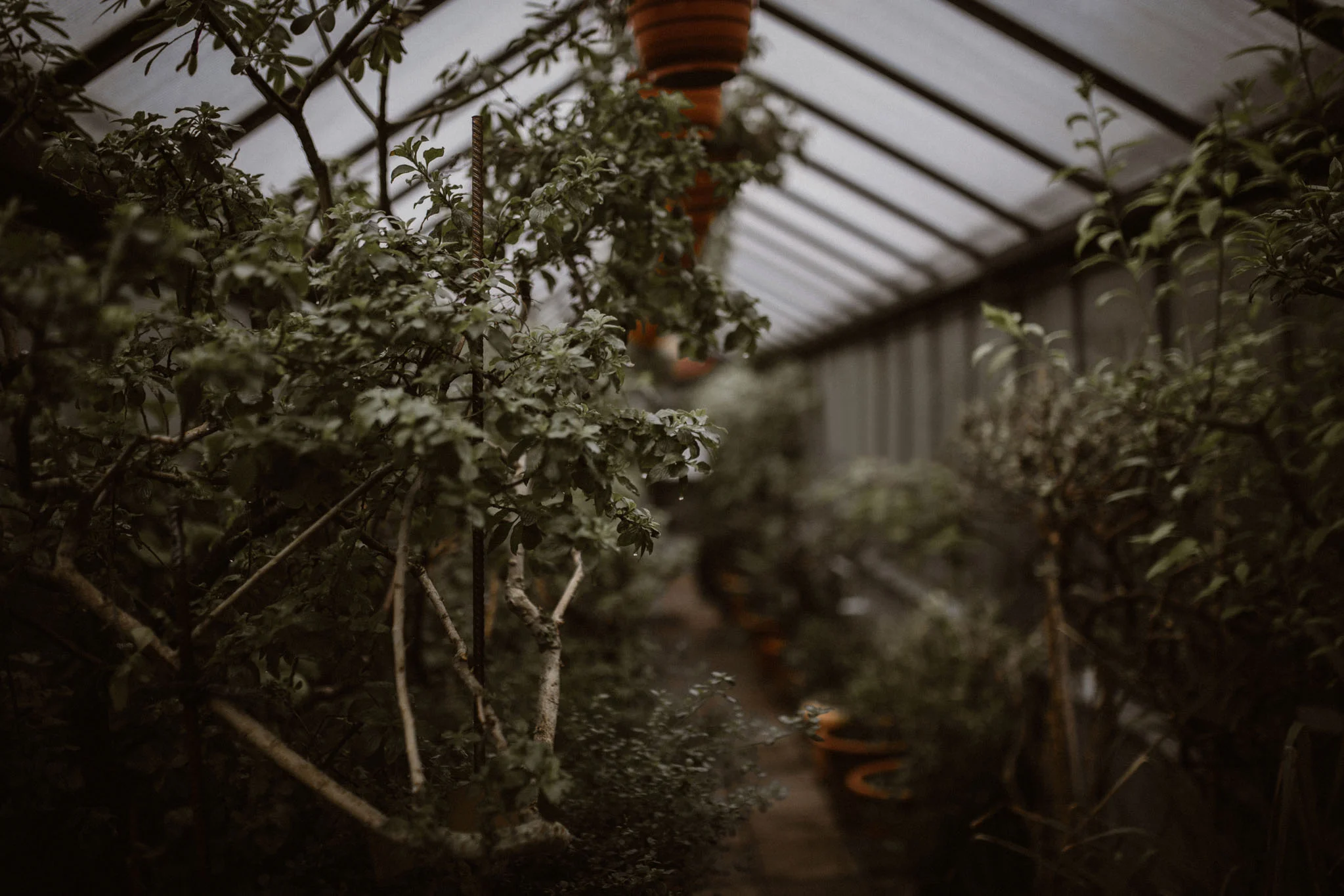 Magda-Botanischer-Garten-Erlangen-1.jpg