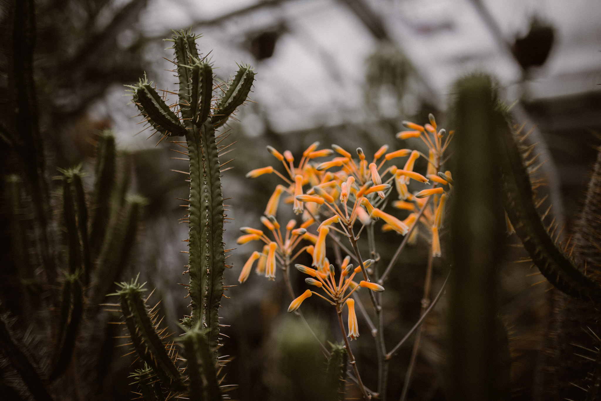Magda-Botanischer-Garten-Erlangen-16.jpg