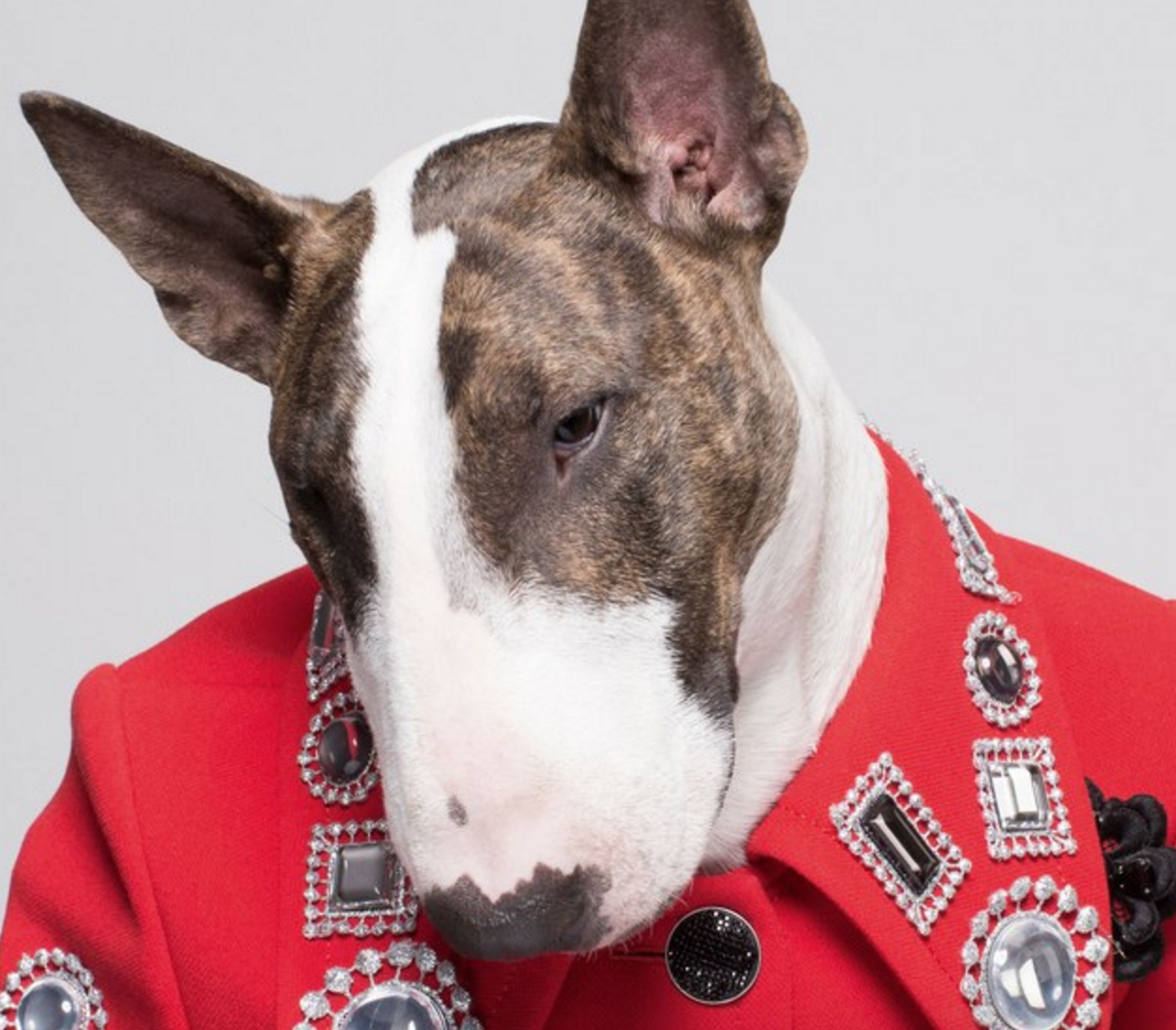 crédit photo @nevillejacobs
