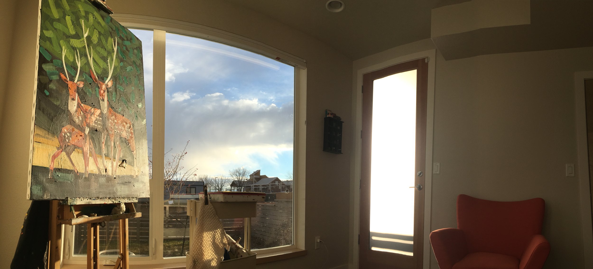 A view outside from my studio