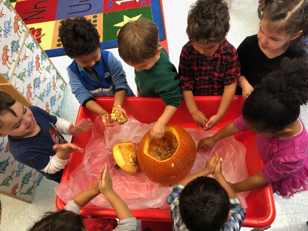 PreKindergarten 3 — Holy Cross School