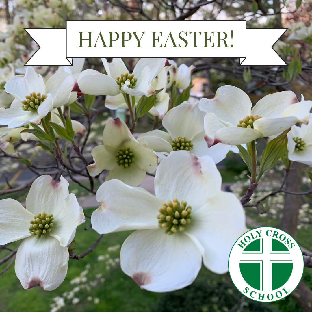 He is risen! Let us rejoice in the miracle of this day and remember the sacrifice that was made for us. Wishing you all a joyous and blessed Easter filled with love, hope, and renewal. #ADWcommUNITY #ILoveHolyCross #HappyEaster #HeIsRisen #EasterSund