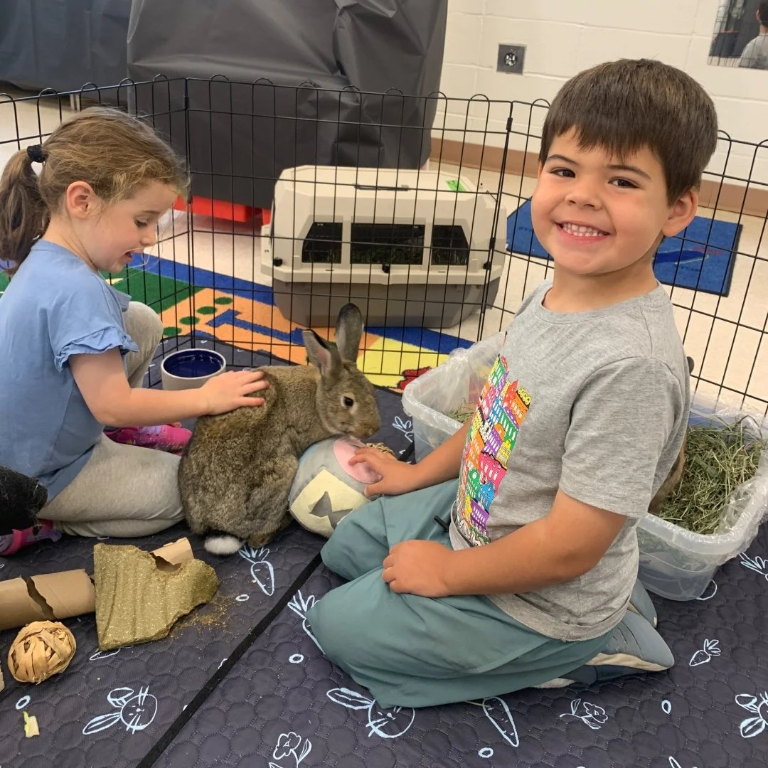 Hoppiness was in the air at PK Camp! Our campers had a special visit from Stanley and Peppa, Ms. Simmonds' adorable bunnies. From gentle pets to lots of smiles and giggles, the children loved spending time with these furry friends. 🥕🐇