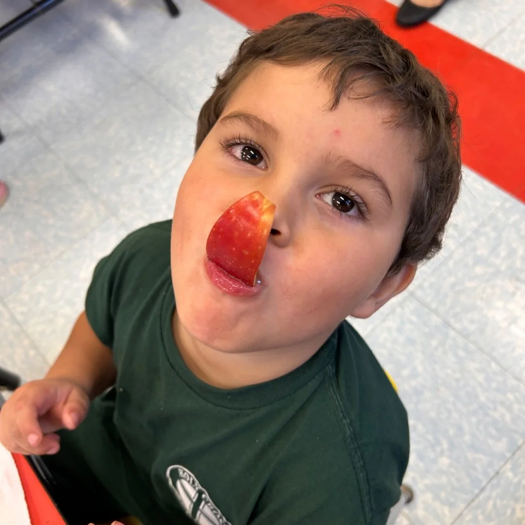 Our PK students wrapped up the week with a fun and delicious apple-tasting adventure! 🍎😋 Students sampled red, green, and yellow apples, talked about how each one tasted, and then voted for their favorite variety! Who knew learning could be so deli