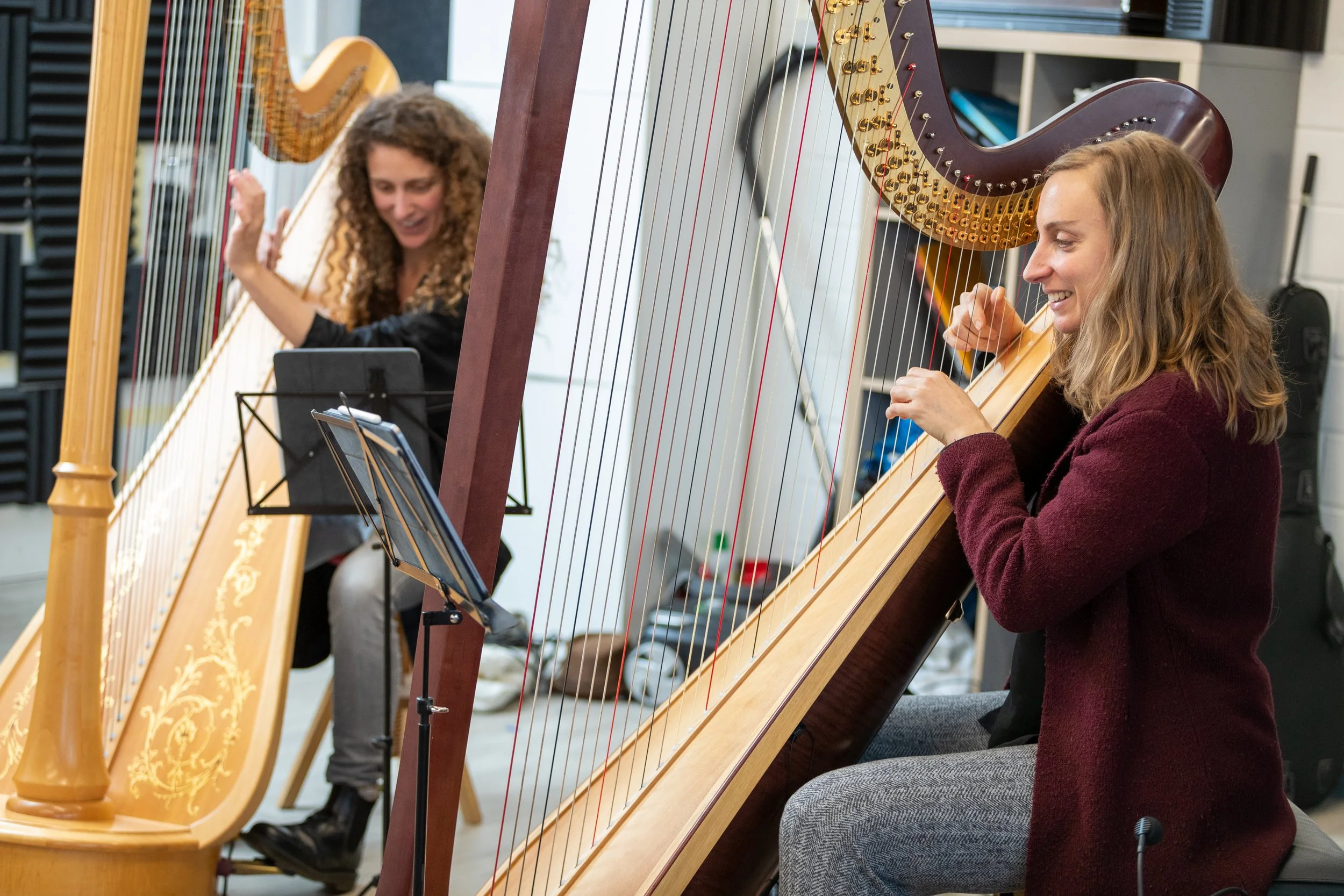 AEcstaly - harp duo with Alice Belugou. 2 harps, 2 voices and some electronics, searching for a new harp sound and some crazy moments together