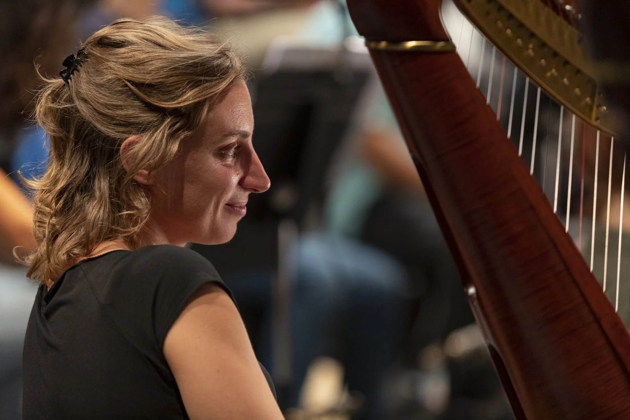 Member of Basel Sinfonietta, a special orchestra for contemporary music