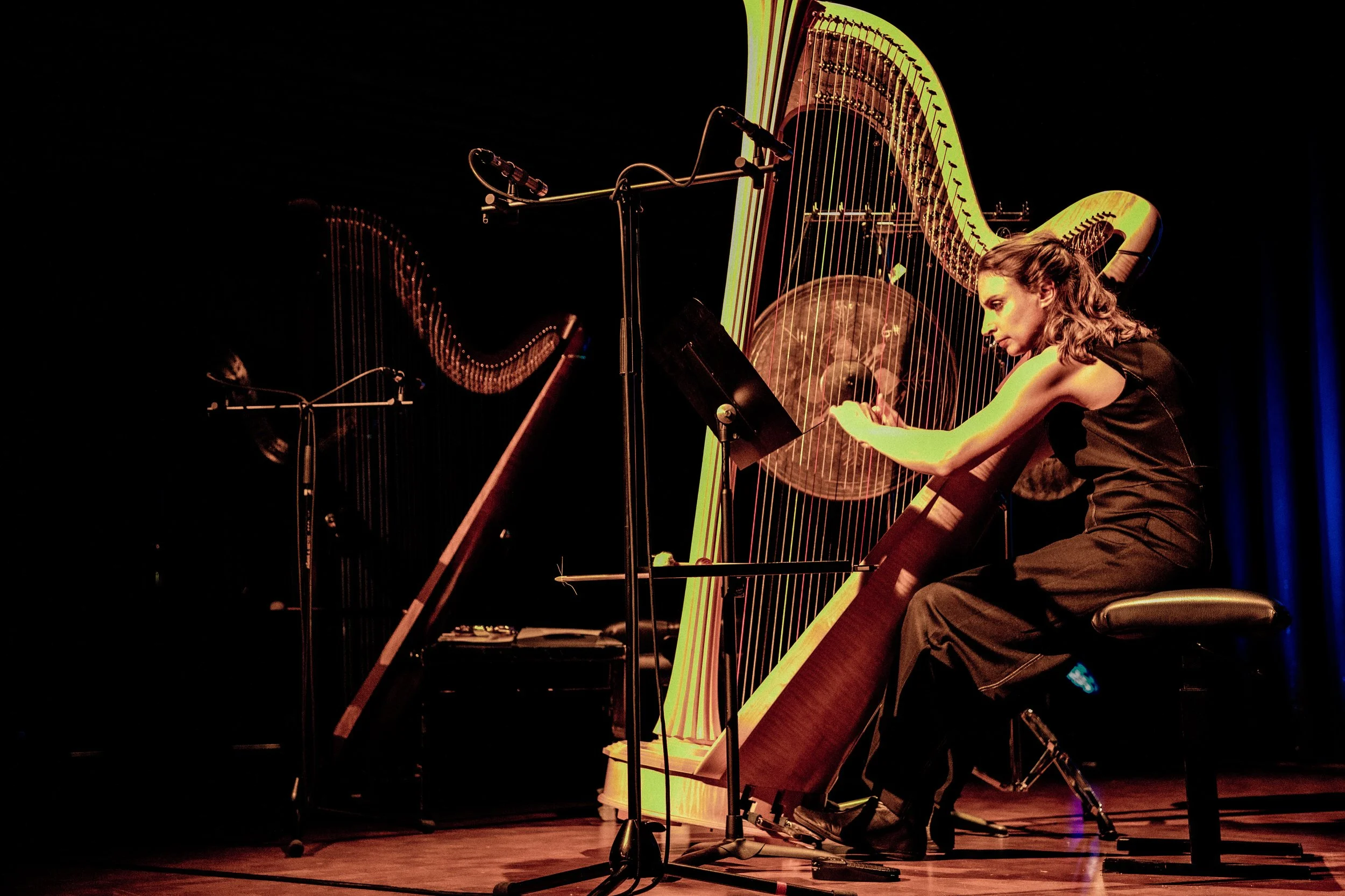 Solo harp - mainly contemporary and experimental music, but not only! Experimenting with composers and creating new pieces