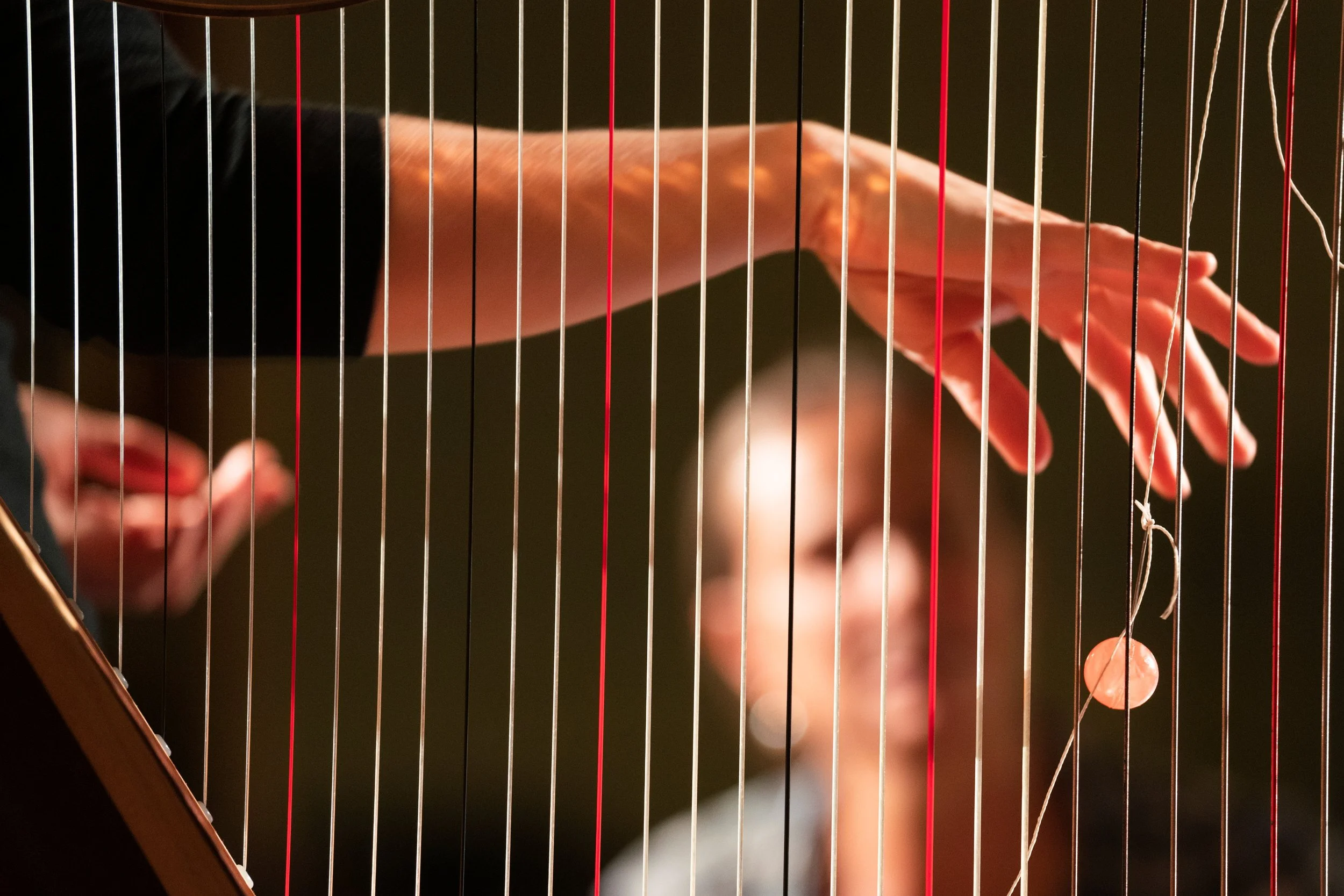 Duo TecTonic - a special duo with harp and ondes martenot, with Ludovic van Hellemont