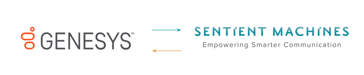 Sentient Machines - Conversational analytics platform
