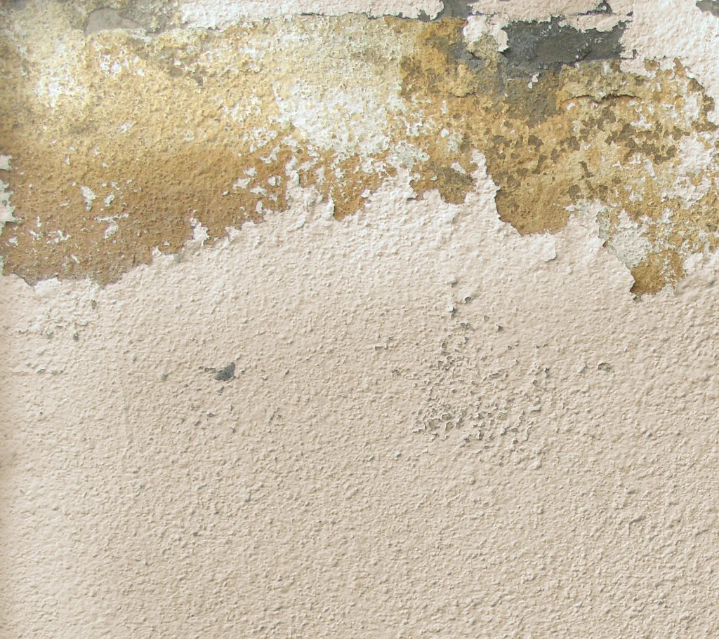 goldtex1-1024x388.jpg