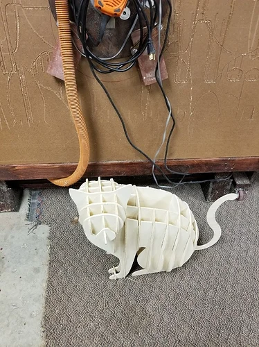 Bryce cat.jpg