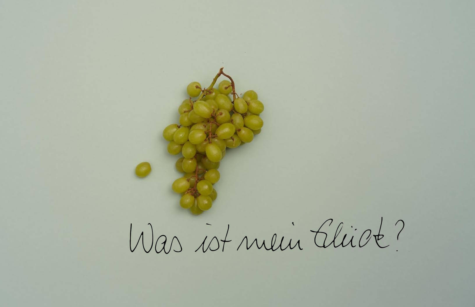 Webseitenbild_1.jpeg