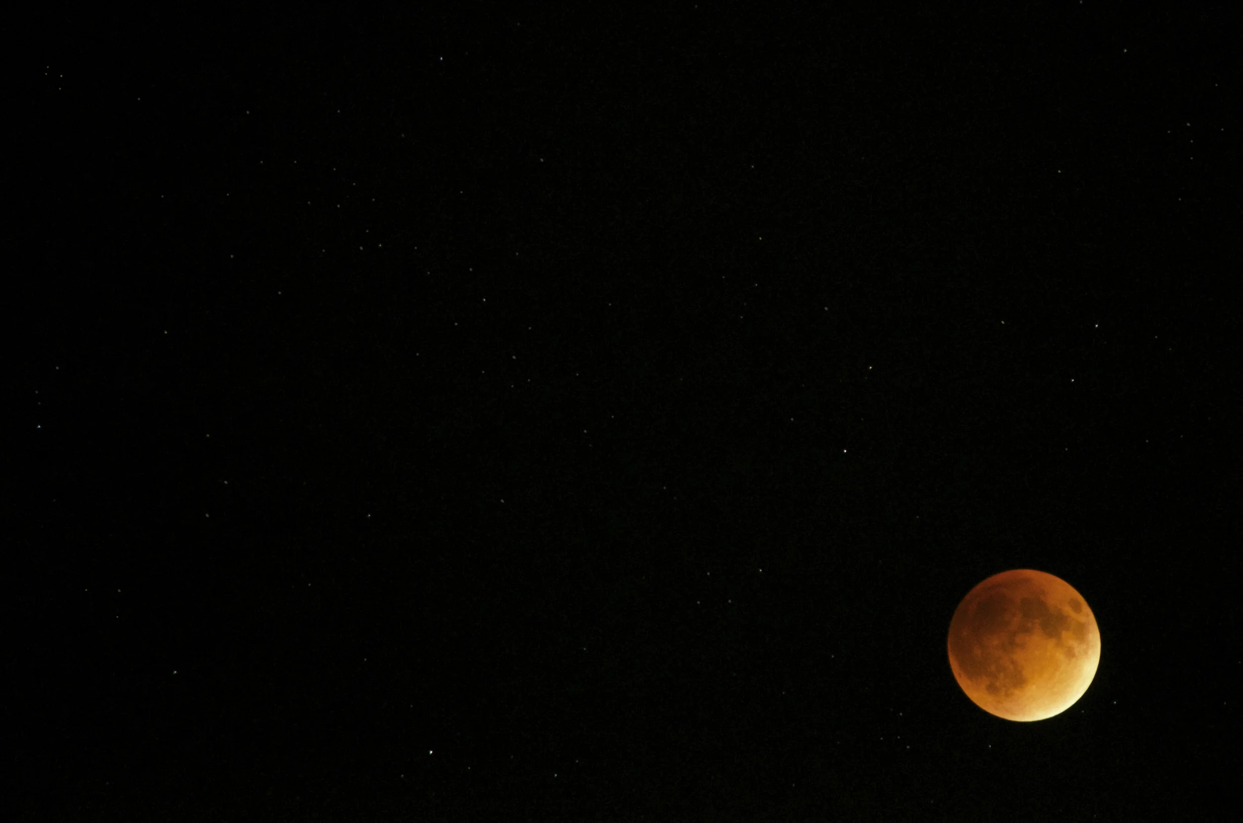 DSC_0244.jpg