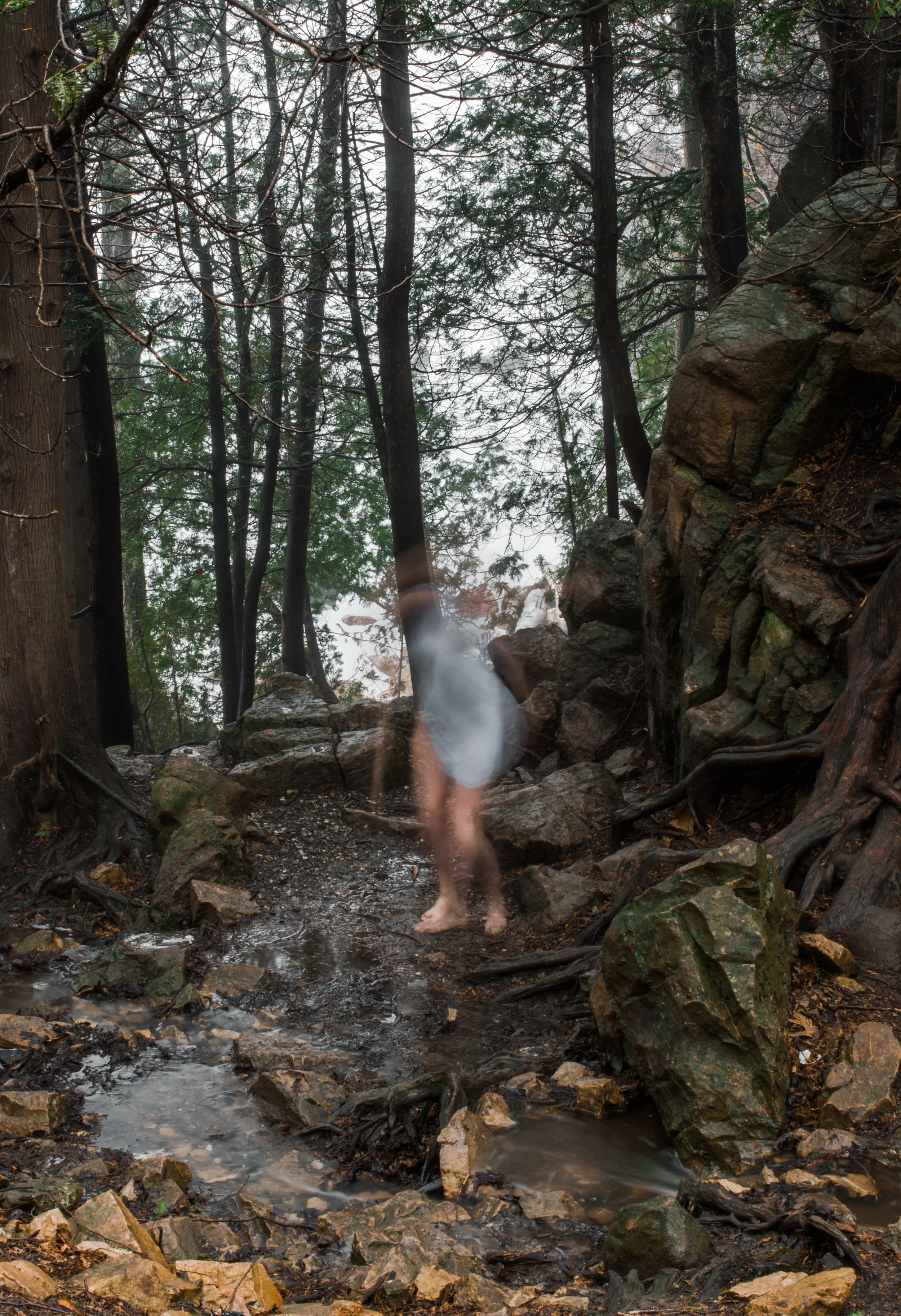 DSC_0436.jpg