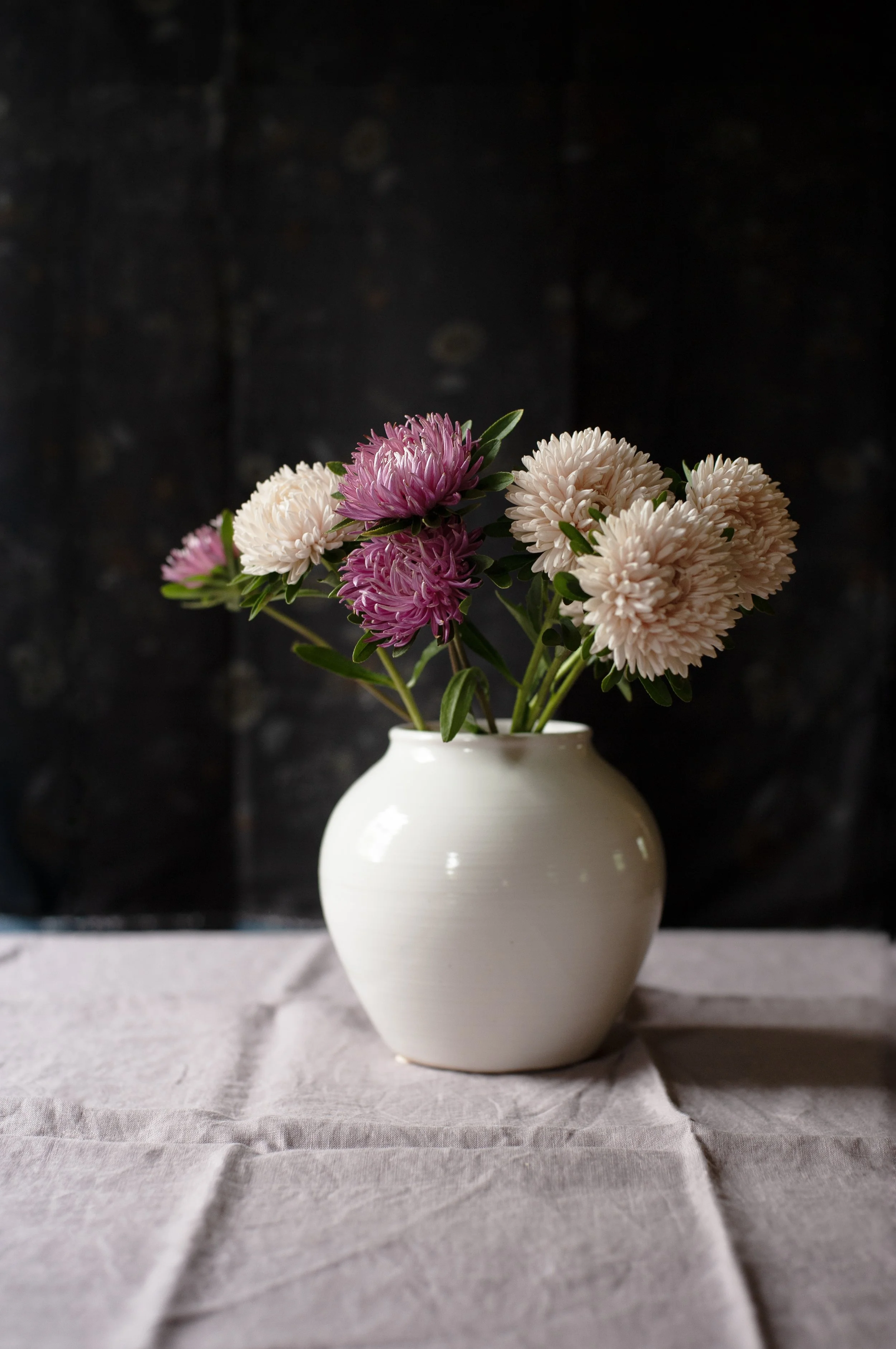 china_aster copy.jpg