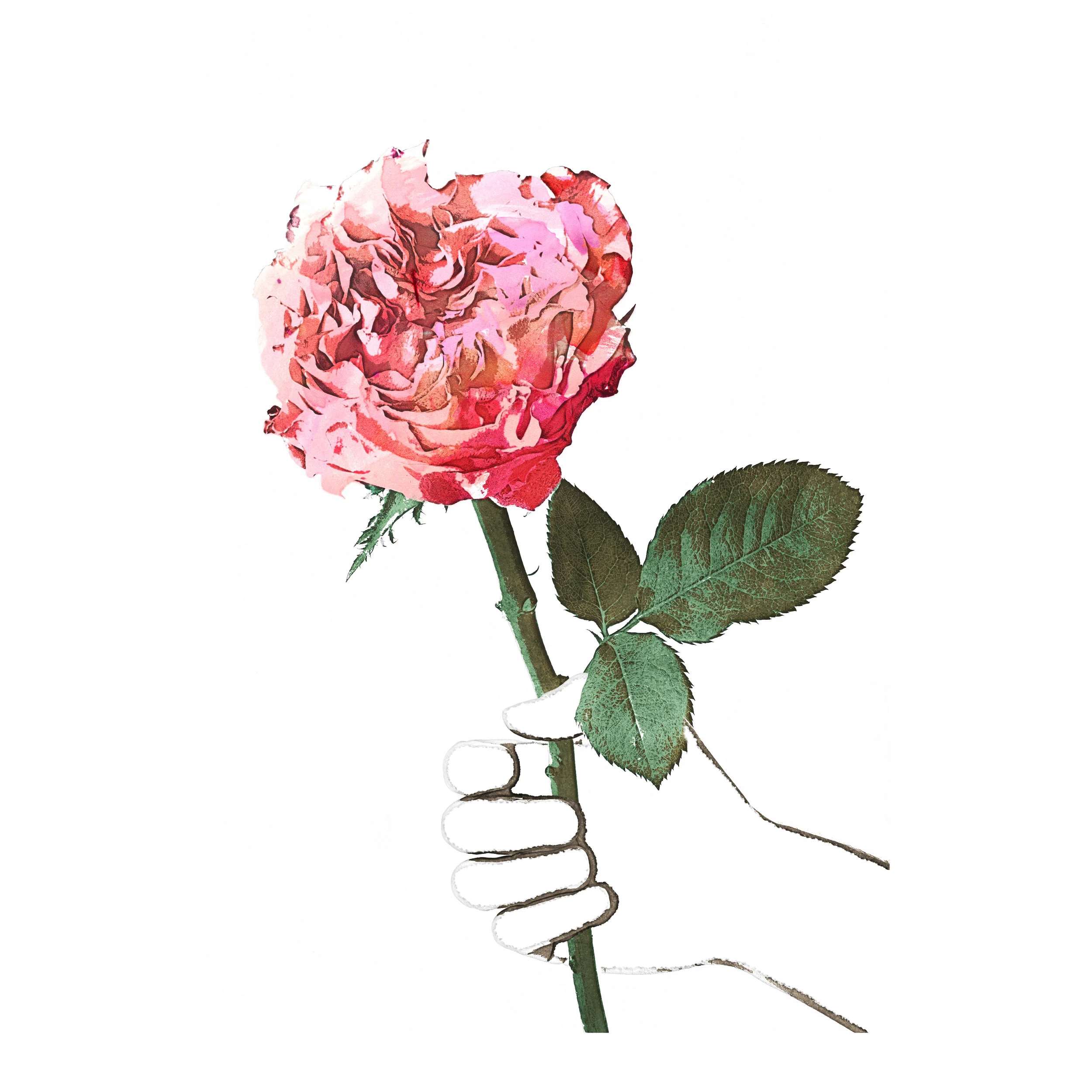rose2 copy-hand-resize.jpg