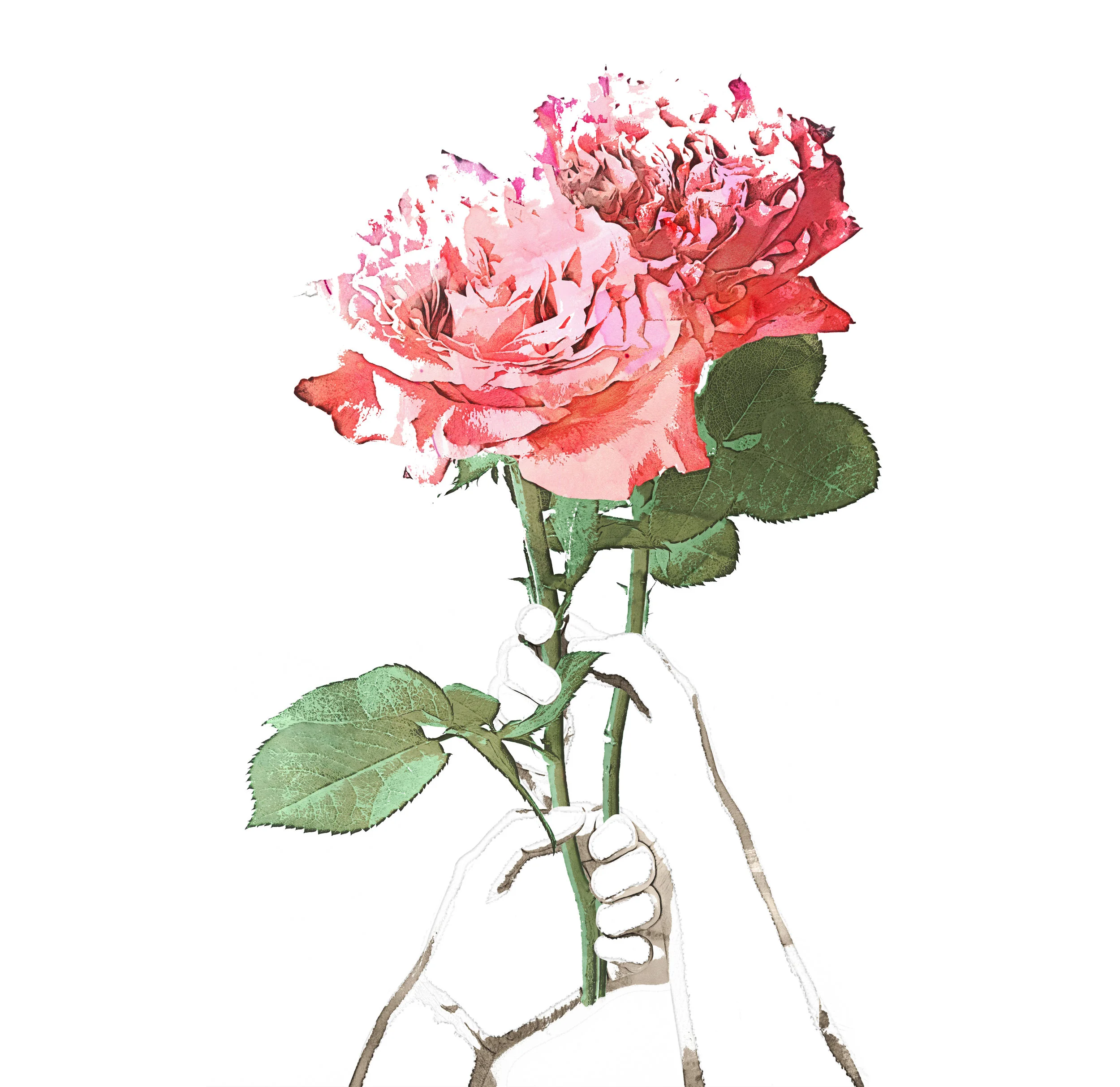 Roses-hands-resize.jpg