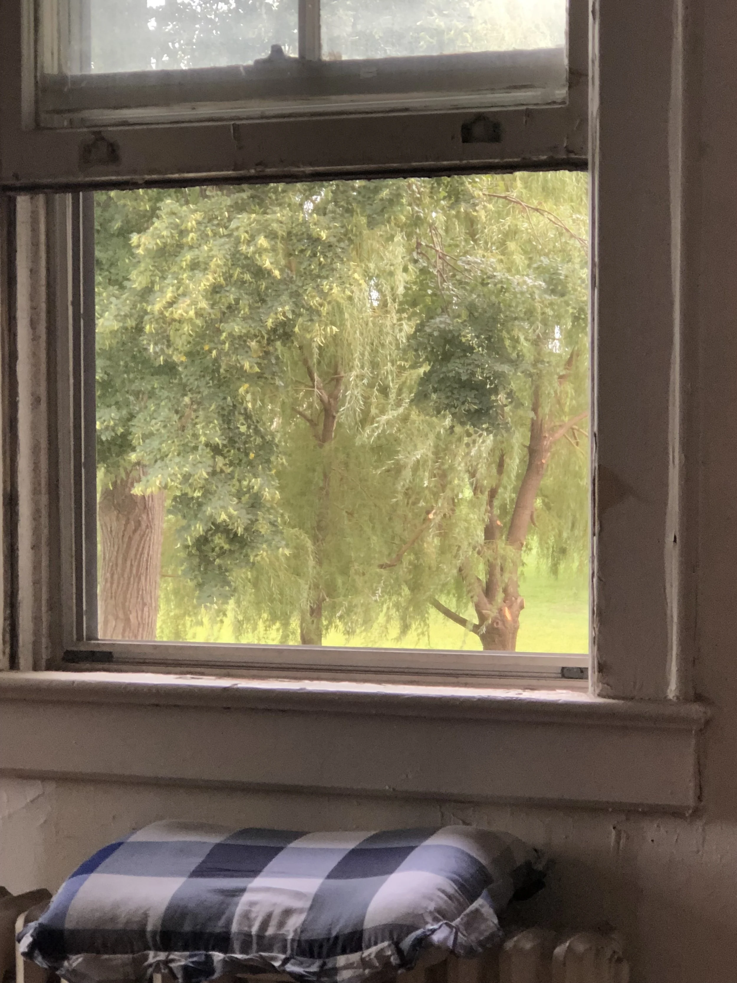 From South window