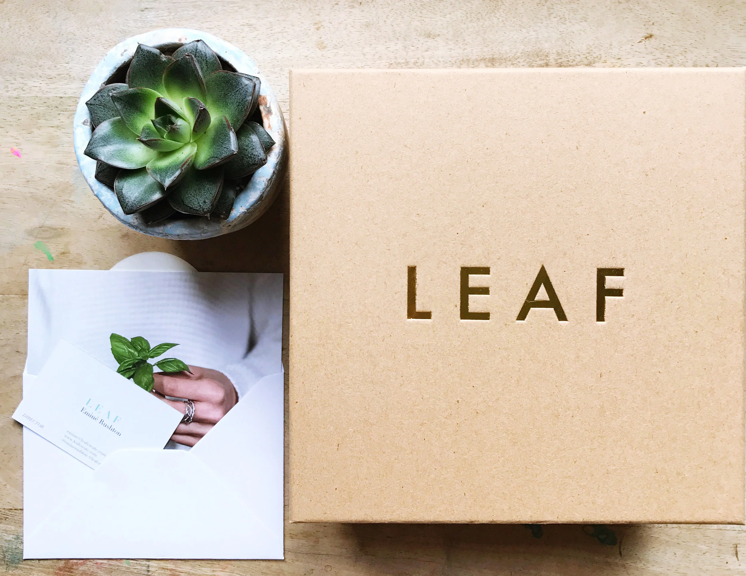 LEAF card + box + cactus.jpg
