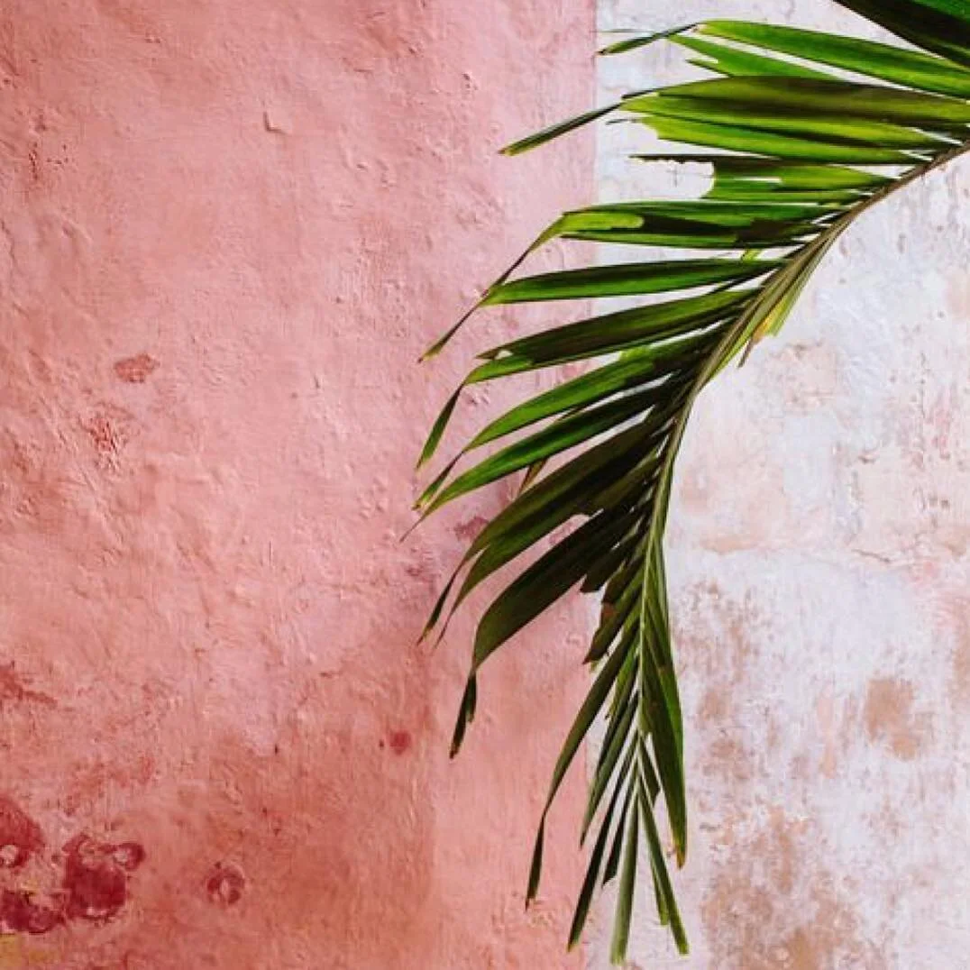 🌿 How&rsquo;s your L E A F life?
🌿 We all need light, air &amp; water to grow... and at L E A F we have built our working manifesto on these principles:
.⠀
. Light - stepping out of your comfort zone to survey, study &amp; absorb the bigger picture