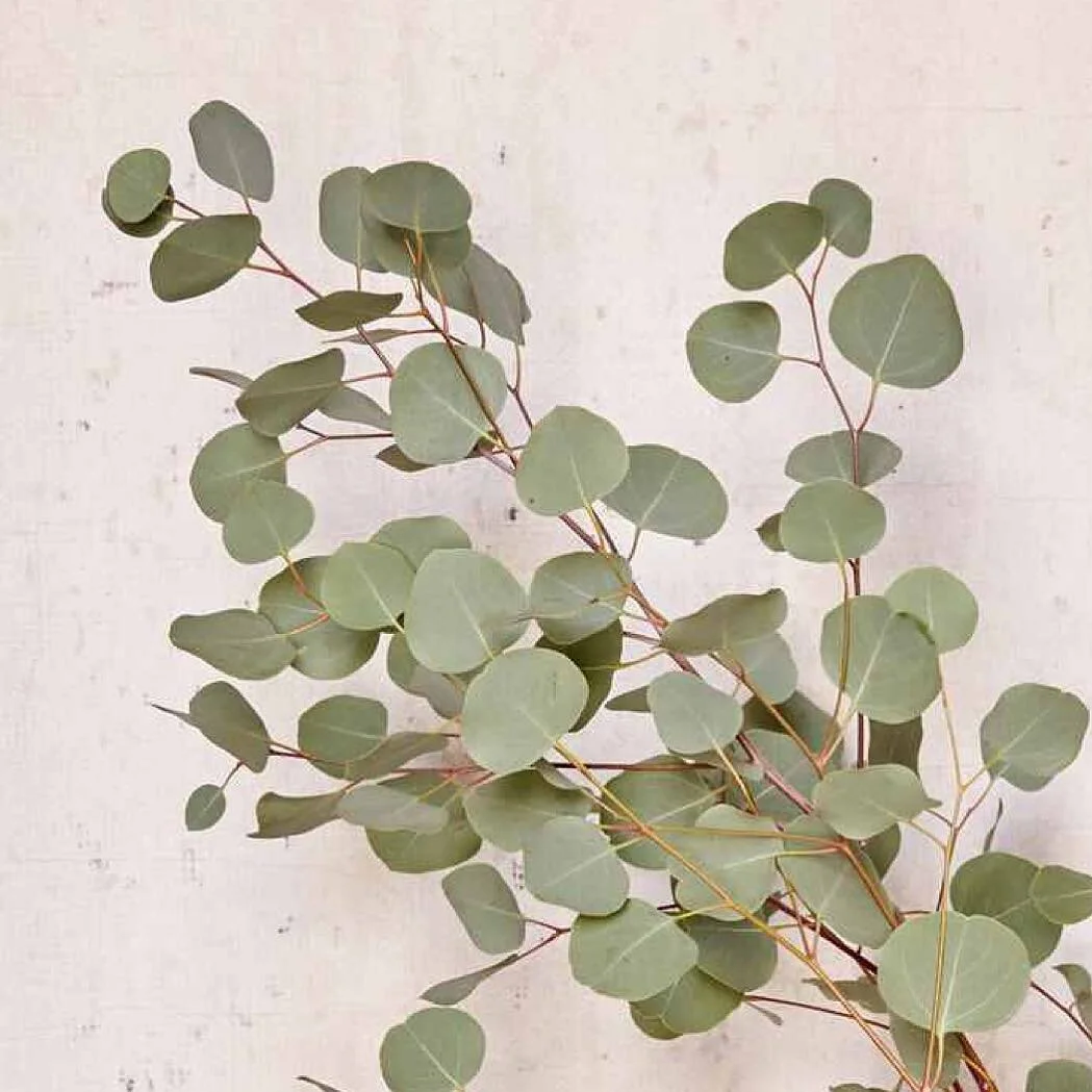 leavhearts 💚 #leaf #leafcreate .
.
.
.
.
.
.
natural #naturalbeauty #naturegirl #holistic #organic #greenbeauty #green #beautybrands #branding #consultancy #PR #thrive #nourish #grow #synergy #ethical #partnership #wellness #business #sow #leaf #pla