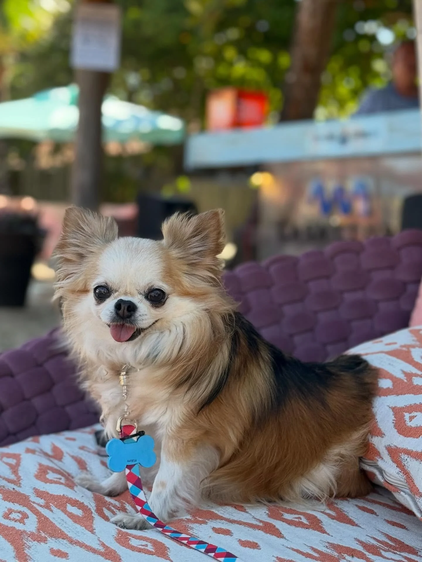 Que del&iacute;cia &eacute; esse nosso Clube ! Sua Casa aqui em Trancoso ! Vem passar o dia com a gente &hellip;.
