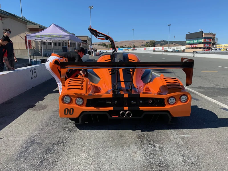 p4.jpg