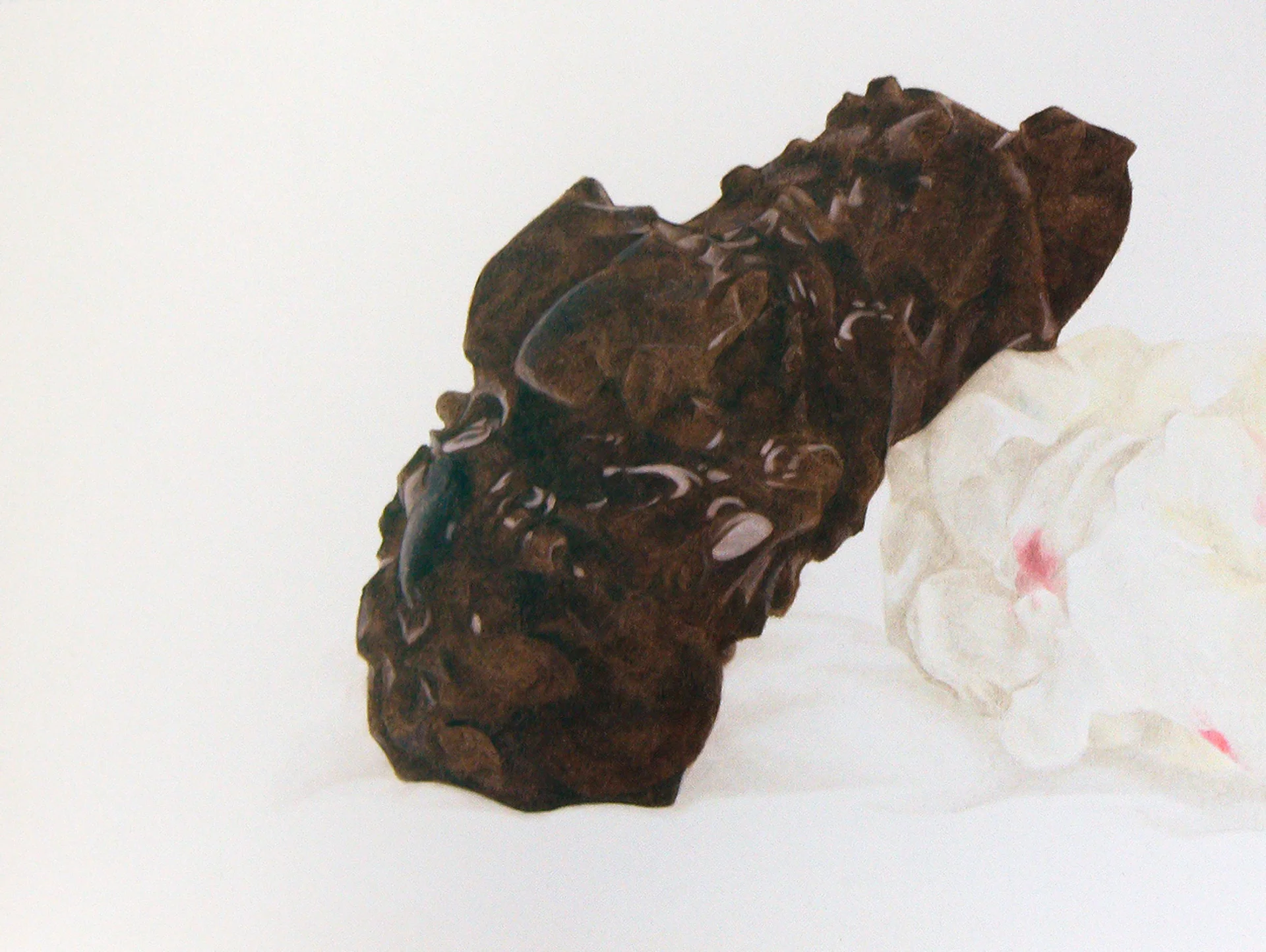 Half-Devoured Chocolate & Birthday Cake Jelly Beans