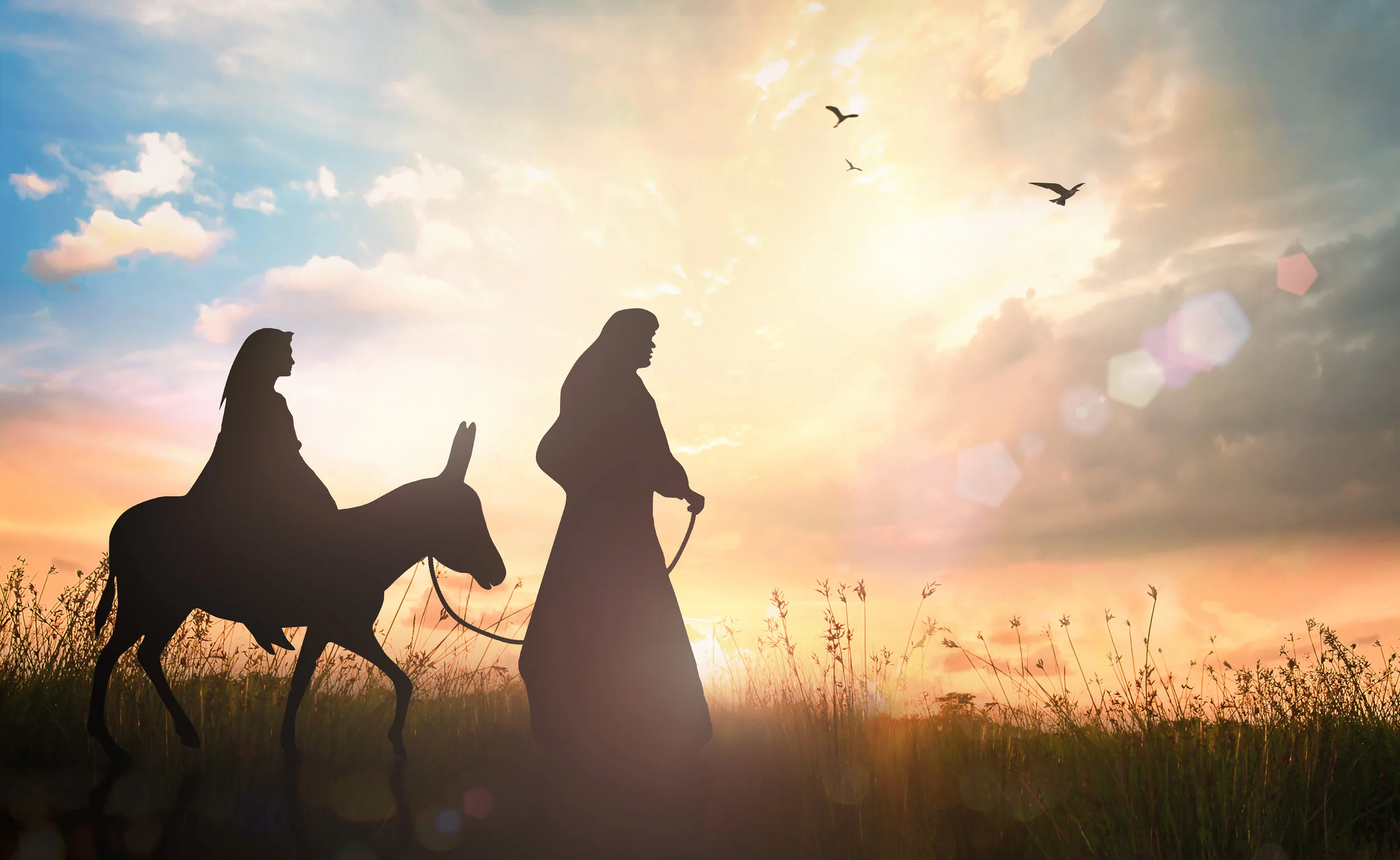 iStock-922742096.jpg