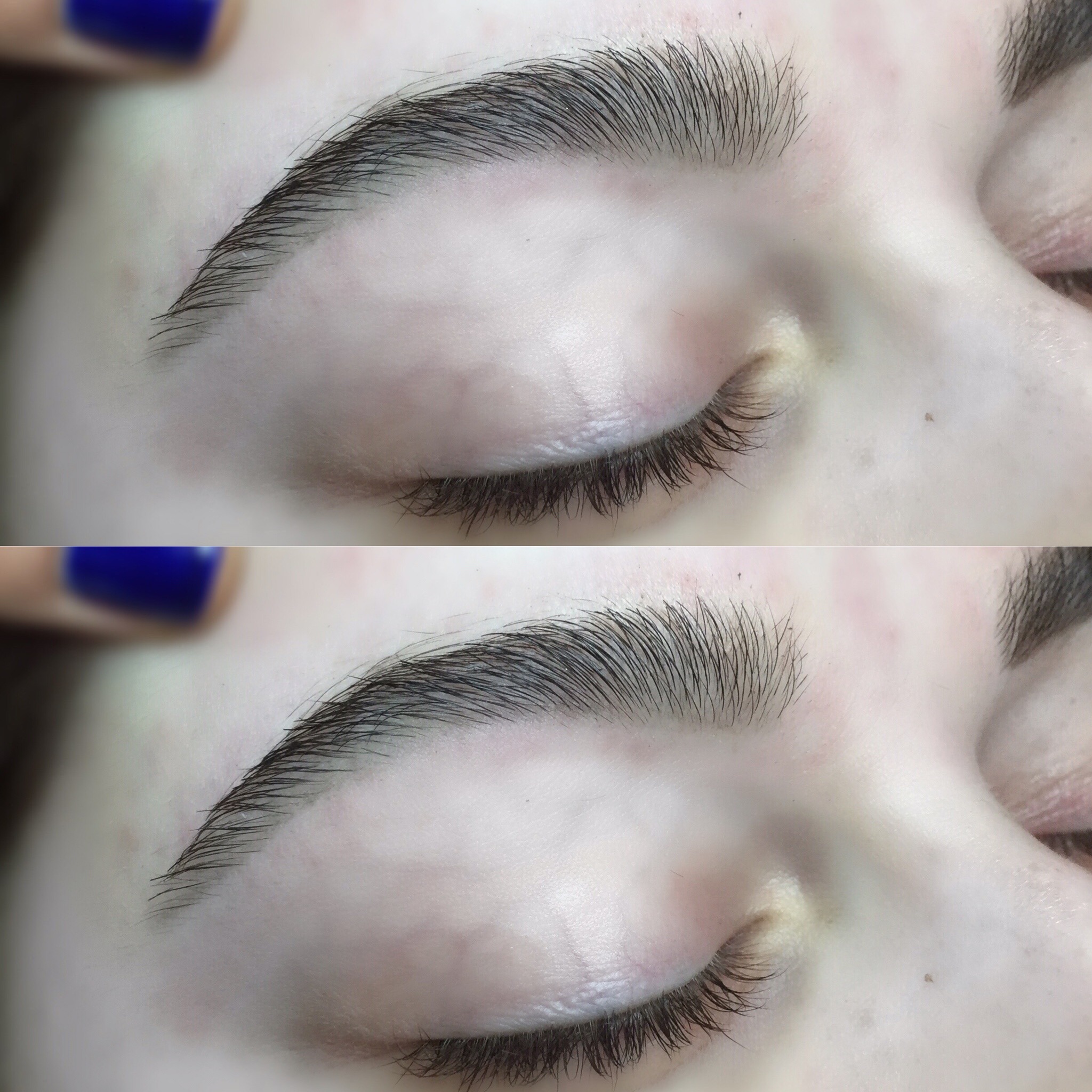 Brows Before/After by Tara DeMellia