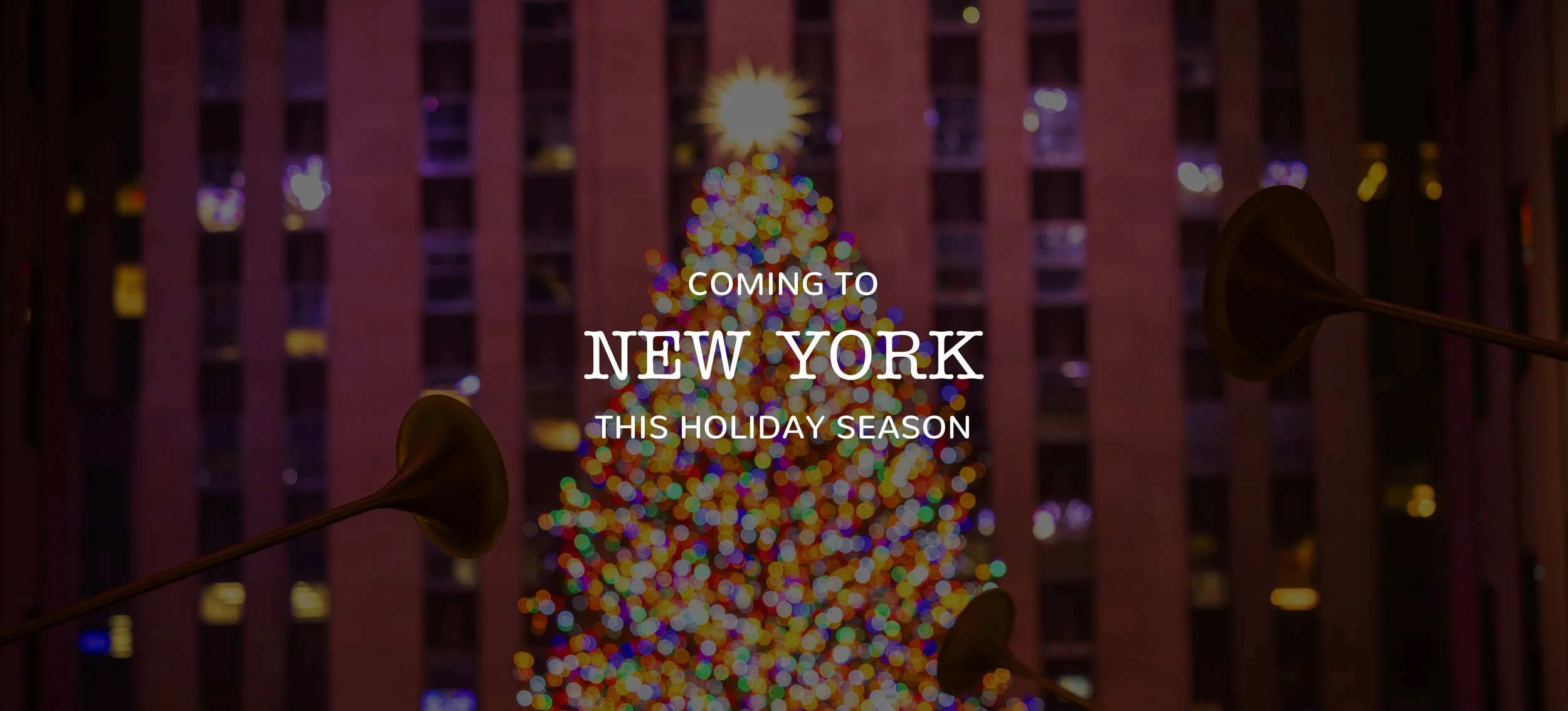 NY_Banner_image_7.jpg