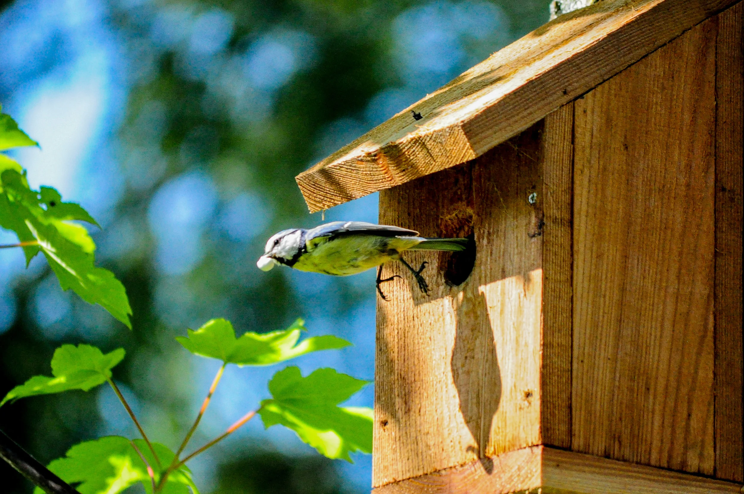 Thinking of moving house? Not sure?