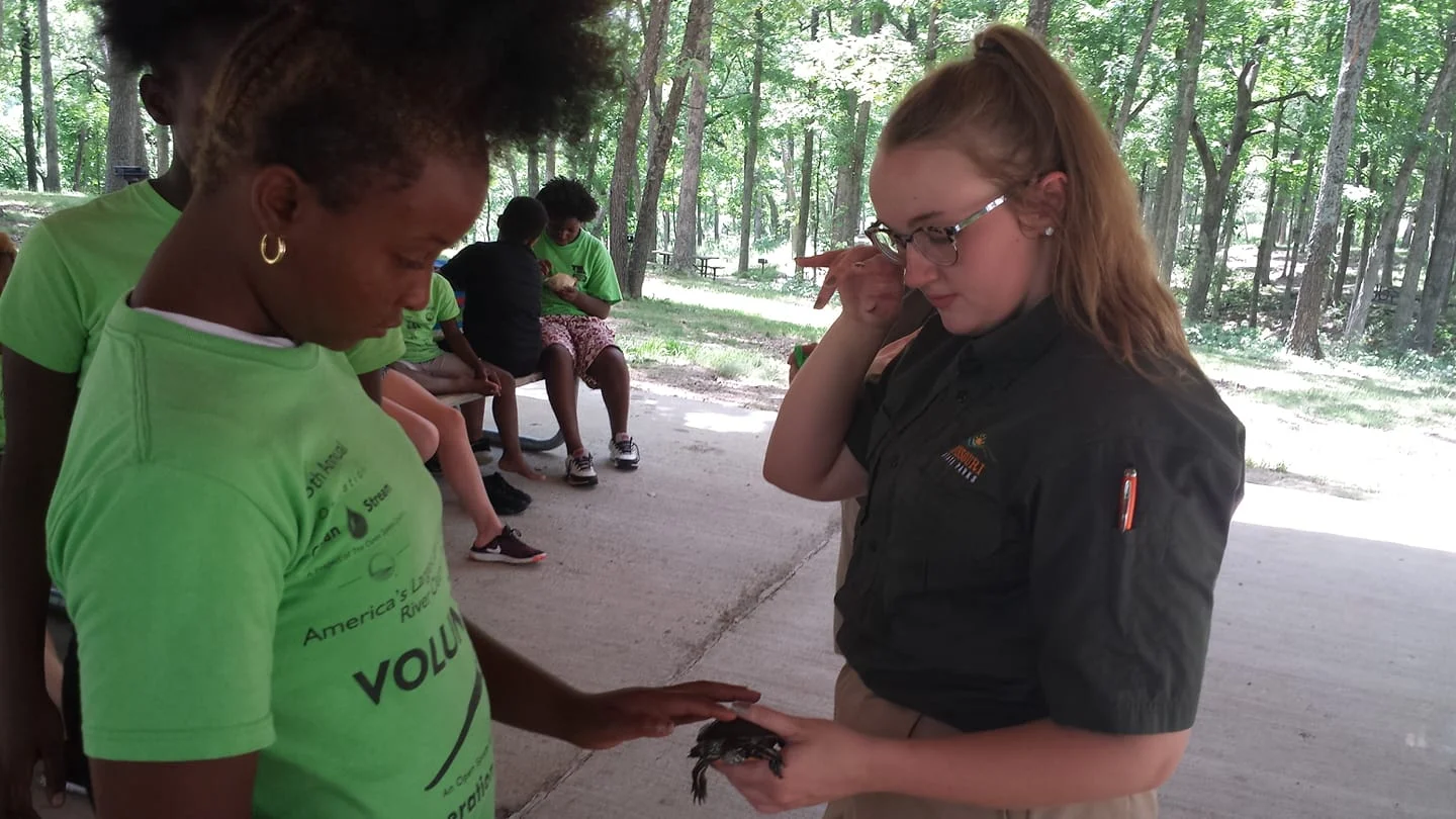 Getting up close and personal with a turtle!