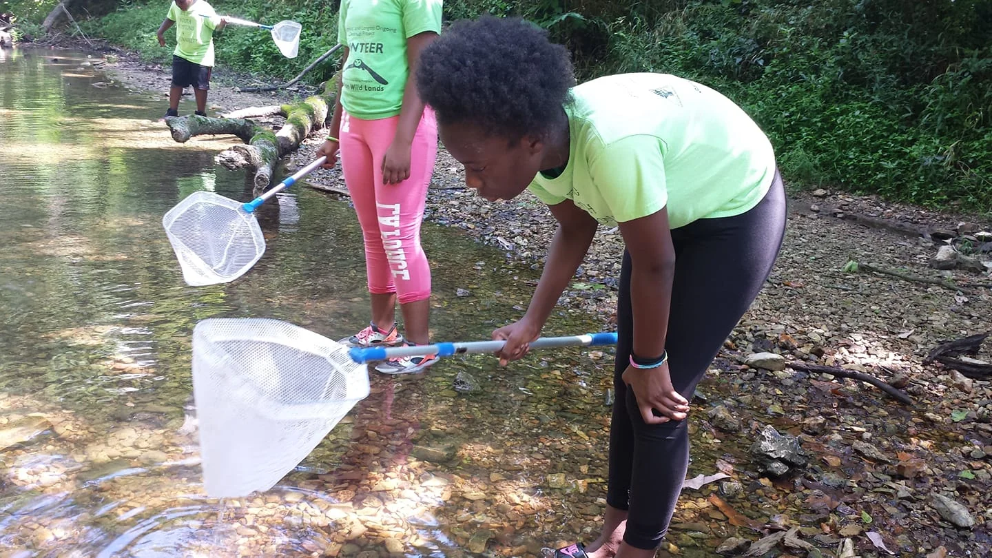 On the hunt for invertebrates