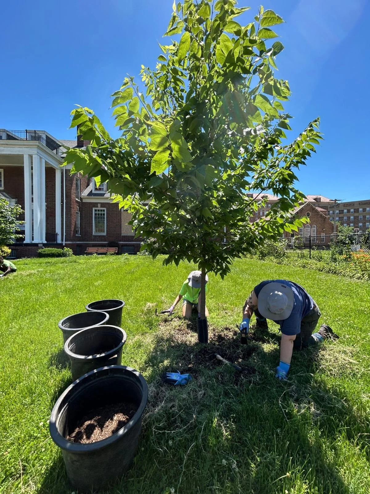   Mulching at Annie Malone House     