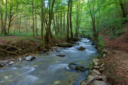 Unlock your Mind with Mindfulness: Say goodbye to depression & anxiety 