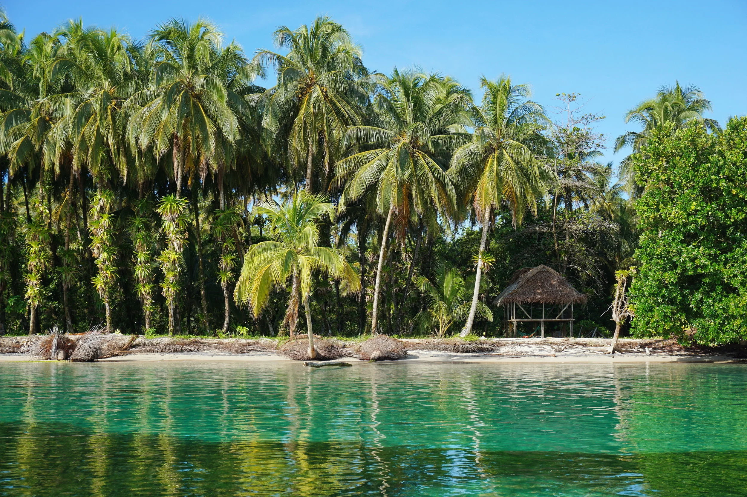 panama_33790882_l.jpg