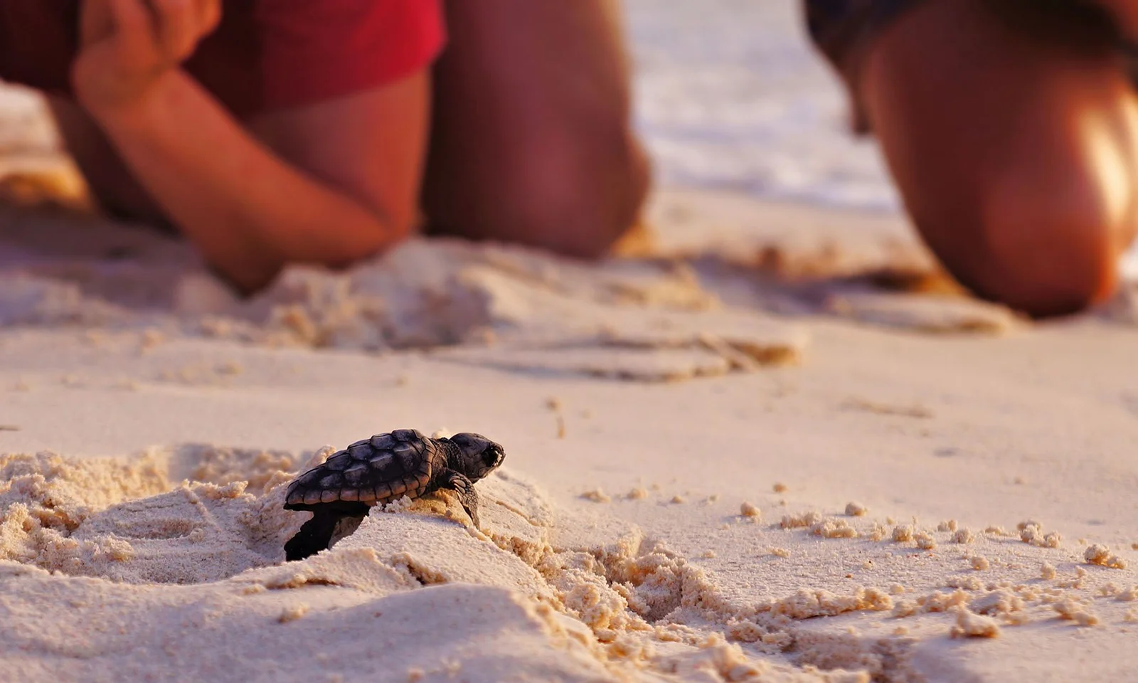 1600_bonaire.jpg